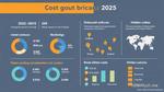 Understanding Cost of Braces in 2025